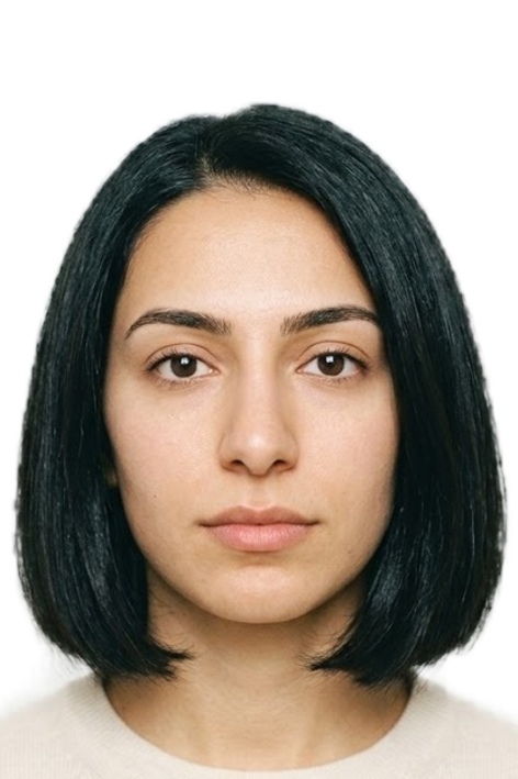 Wiza egipska